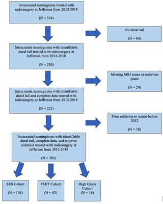 Radiation of meningioma dural tail may not improve tumor control rates